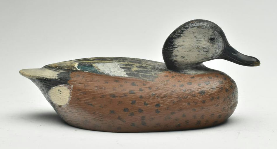 Ken Anger – Blue-winged Teal – 2023