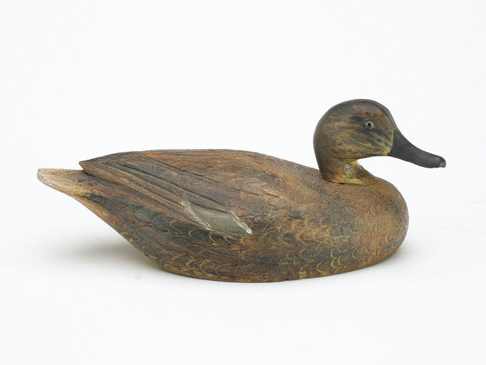 Ben Schmidt – Green Wing Teal Hen – 2024