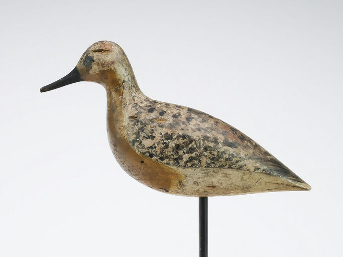 Harry V. Shourds – Snipe – 2024