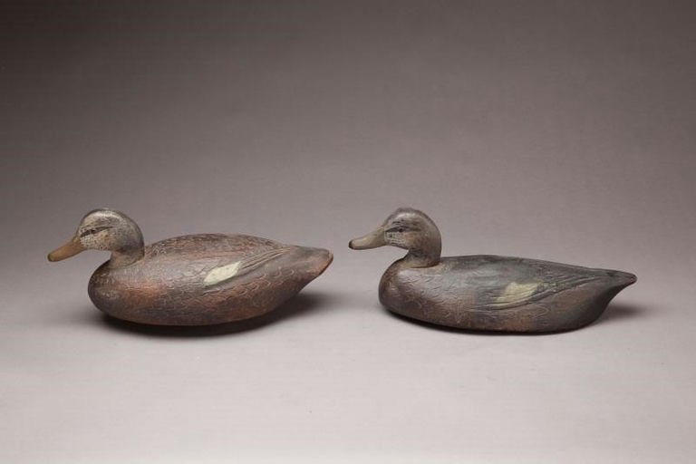 Frank Schmidt – Two Black Ducks – 2011
