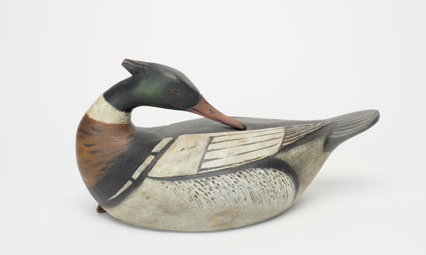 Reggie Birch – Merganser Drake – 2025