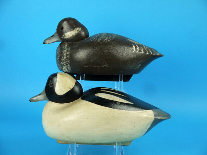 Charles R. Birdsall – Bufflehead Pair – 2026
