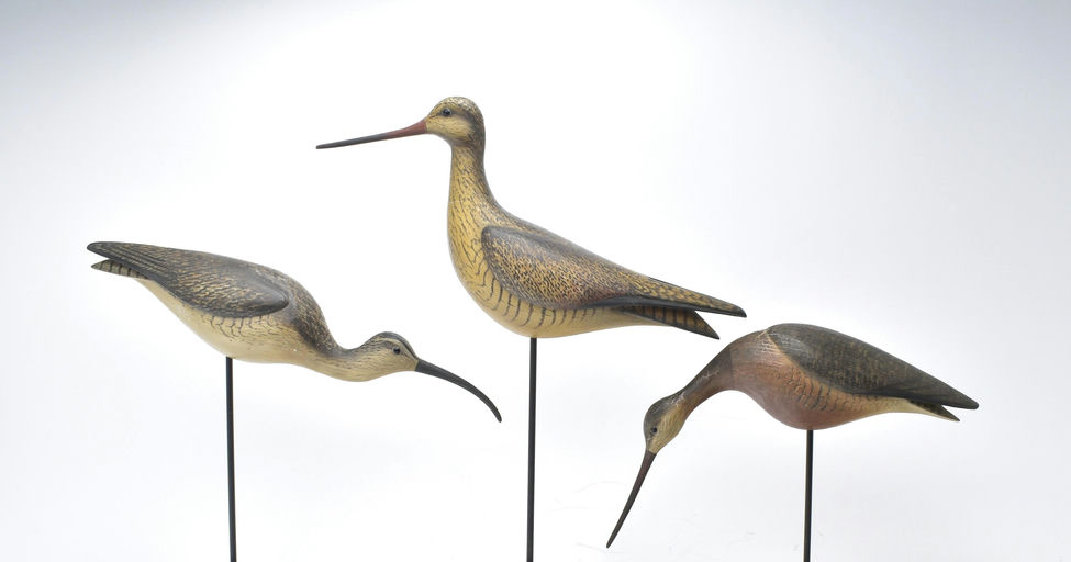 Bill Gibian – Shorebird – 2025