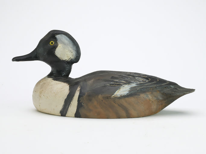 Ben Schmidt – Hooded Merganser – 2024