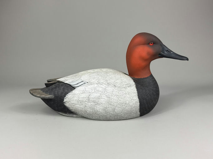 Jack Cox – Canvasback – 2026