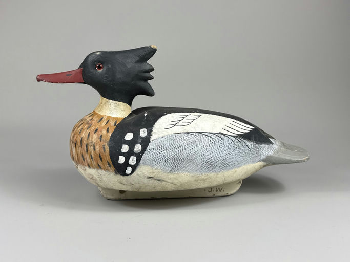 Roe Terry – Red-breasted merganser – 2026