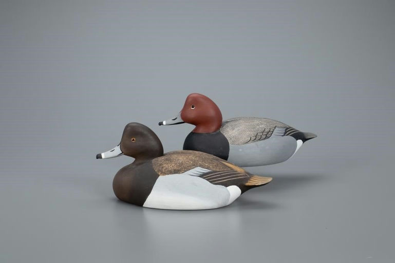 Don Allen – Redhead Pair – 2020