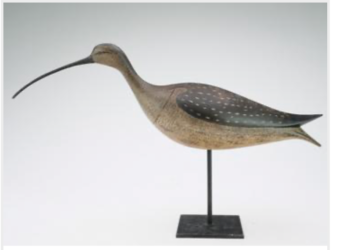 Marty Hanson – Curlew
