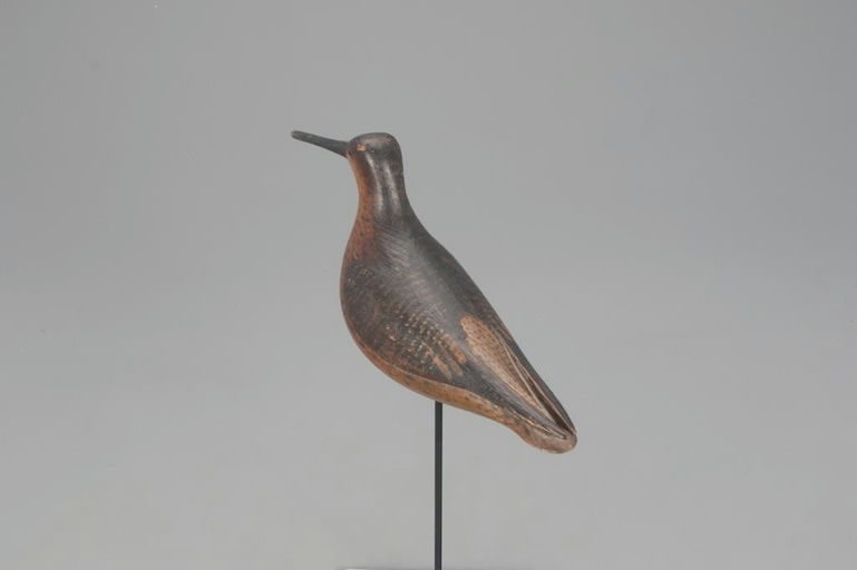 Mark McNair – Red Knot – 2021
