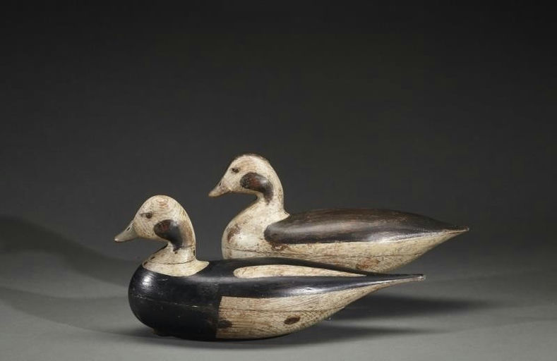 Harry V. Shourds – Rare Pair of Long-Tailed Ducks – 2017