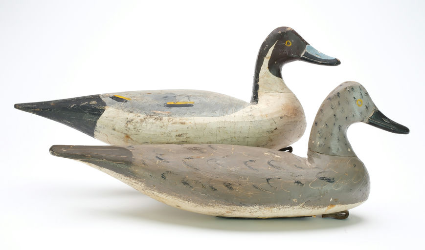Doug Jester — Pintail