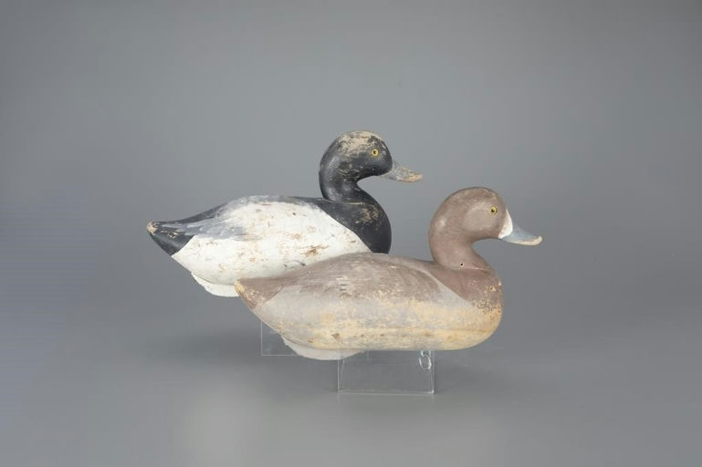 Paul Gibson – Bluebill Pair – 2024