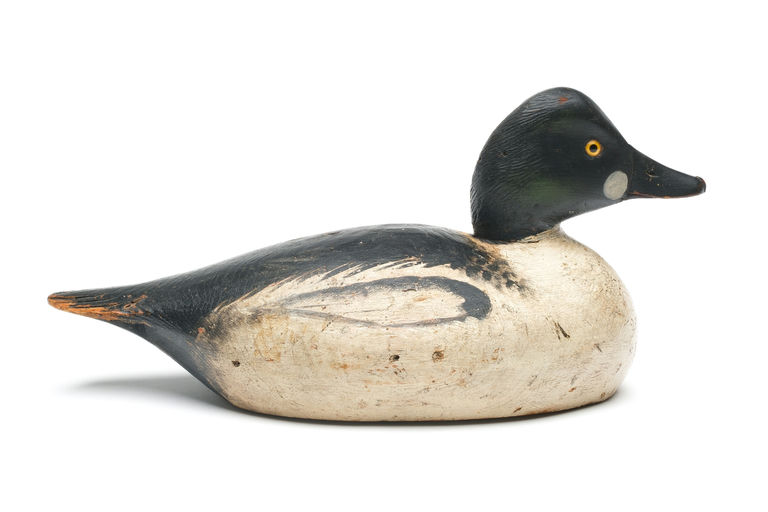 Elmer Crowell – Goldeneye – 2026