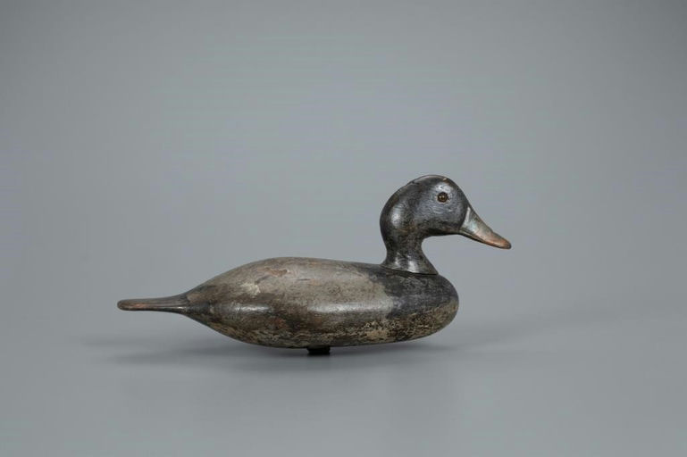 George Stevens – Bluebill – 2020