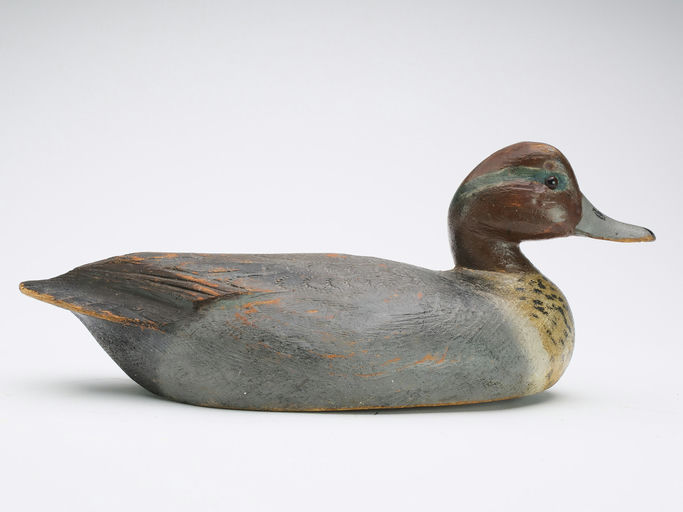 Ben Schmidt – Green Wing Teal – 2024