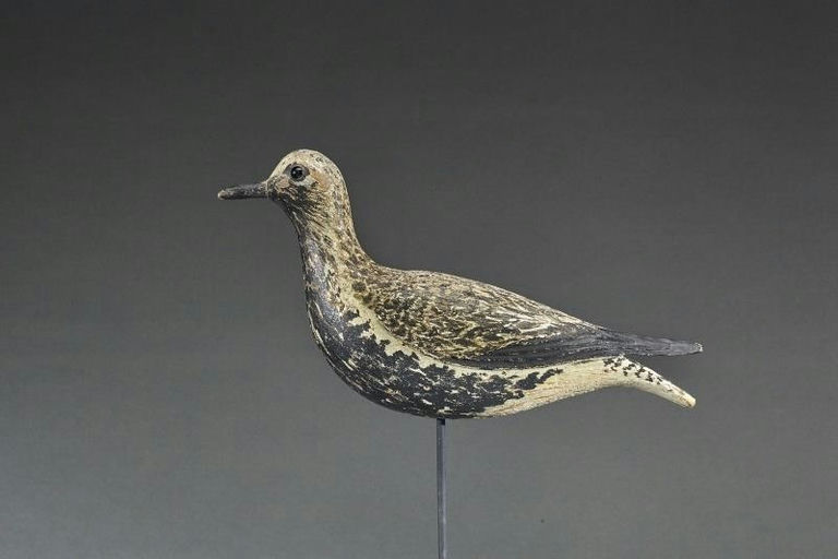 Elmer Crowell – "Dust Jacket" Black-Bellied Plover – 2017