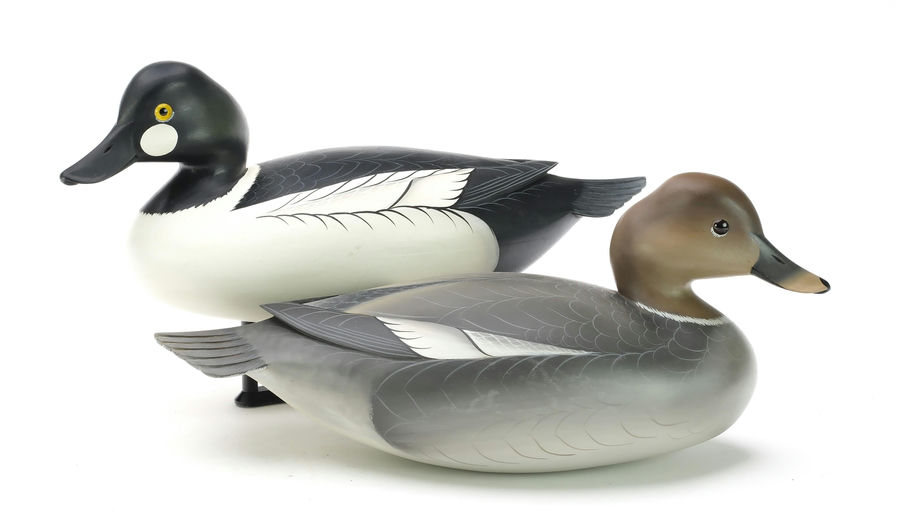 George Strunk – Pair of Goldeneye – 2025