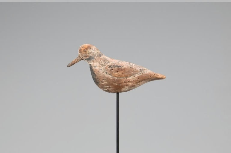 Verity Family – Ruddy Turnstone – 2021