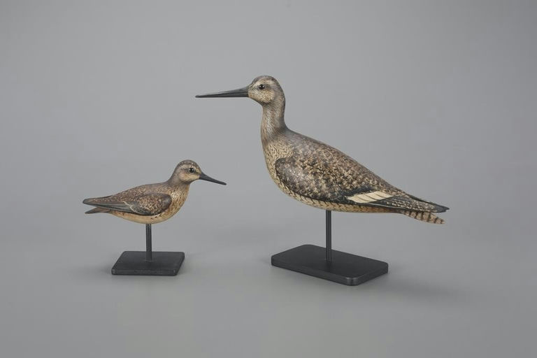 Bill Gibian – Willet Family Pair – 2023