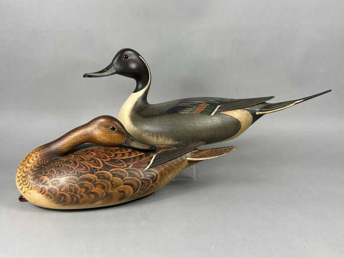 Bill Gibian – Pintail – 2026