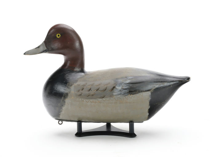 Charles Perdew – Redhead Drake – 2024