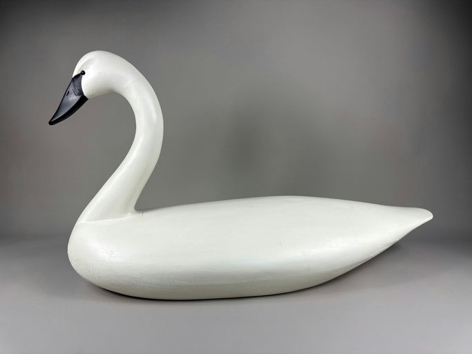 Pete Peterson – Swan – 2026