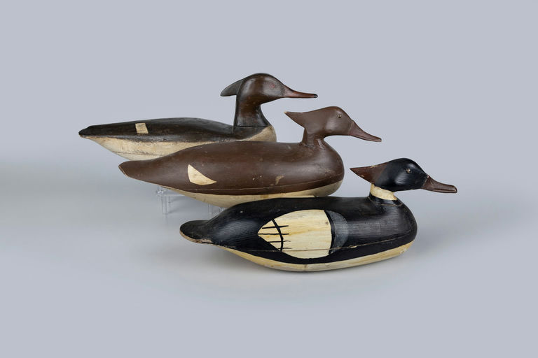 Eugene Hendrickson – Three New Jersey Mergansers – 2026