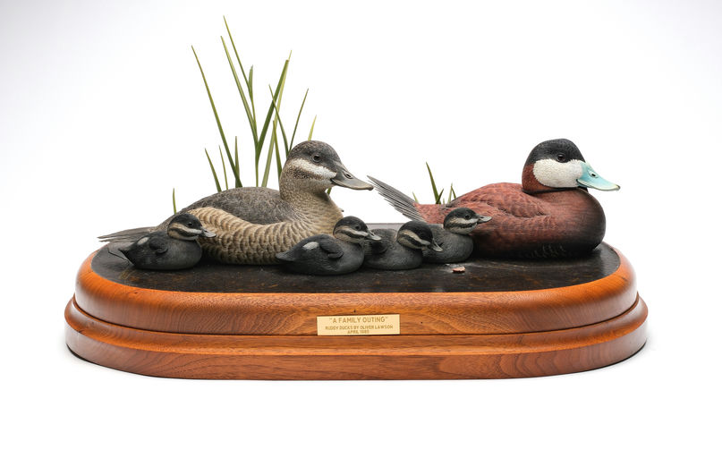 Oliver Lawson — Pair of Ruddy Duck