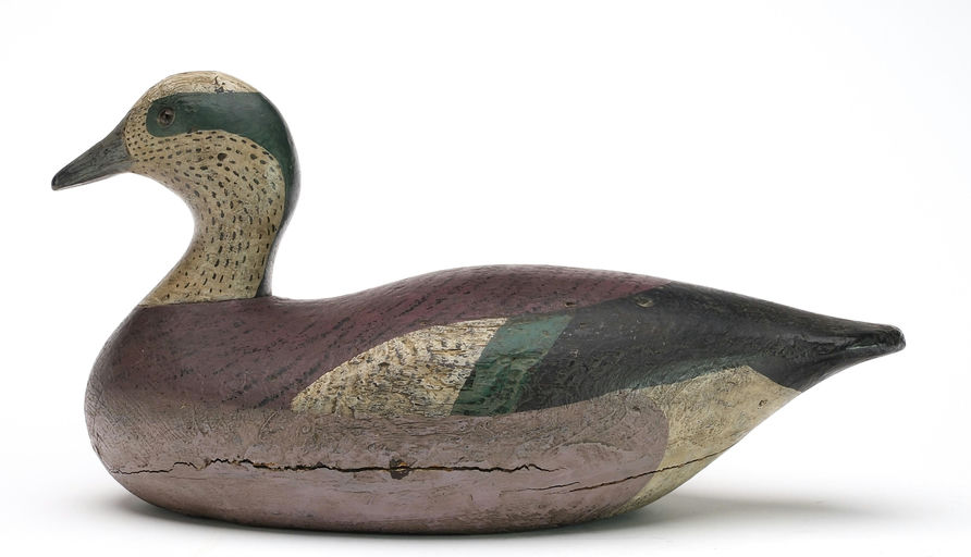 Joseph Lincoln – Wigeon – 2024