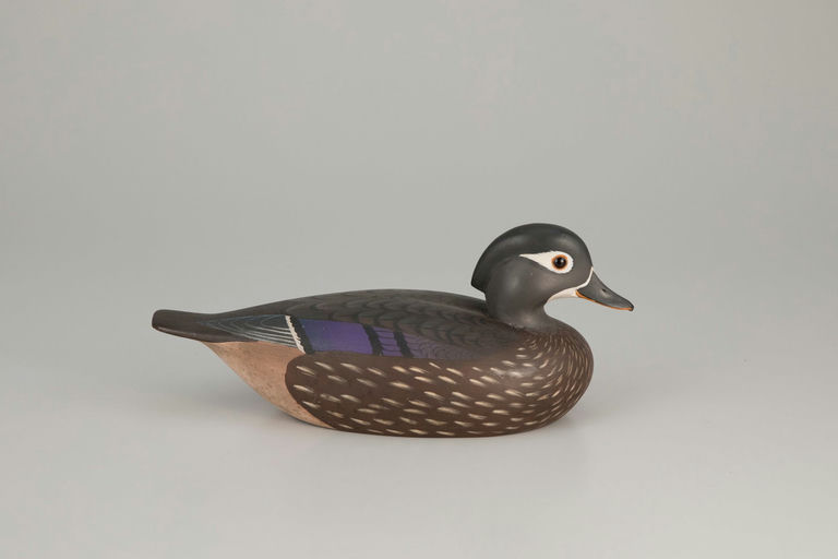 Keith Mueller – Wood Duck Hen – 2026