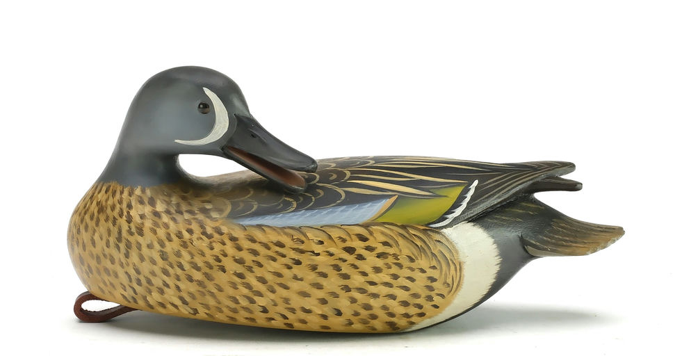 George Strunk – Preening Blue Wing Teal – 2025