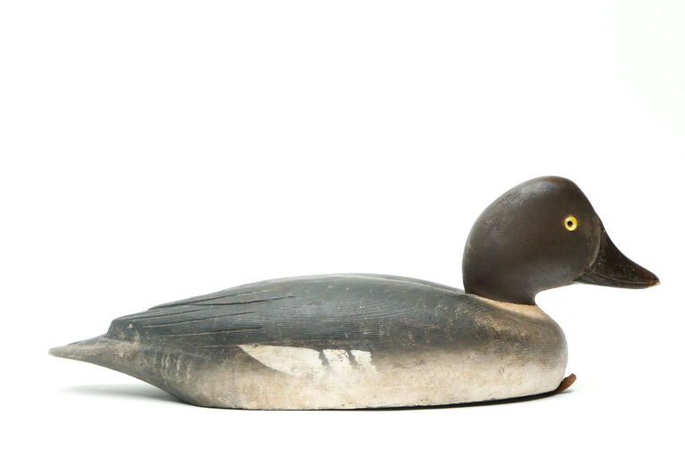 David W. Nichol – Goldeneye – 2026