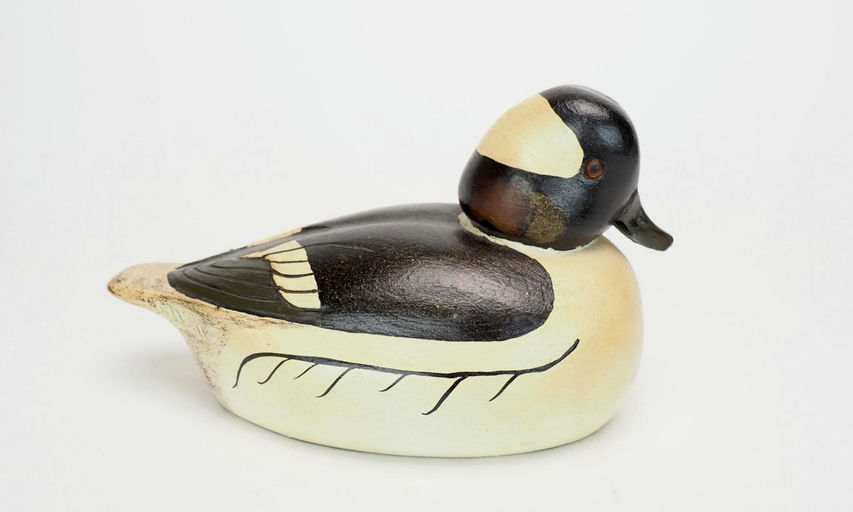 Ralph VanWagoner — Bufflehead Drake