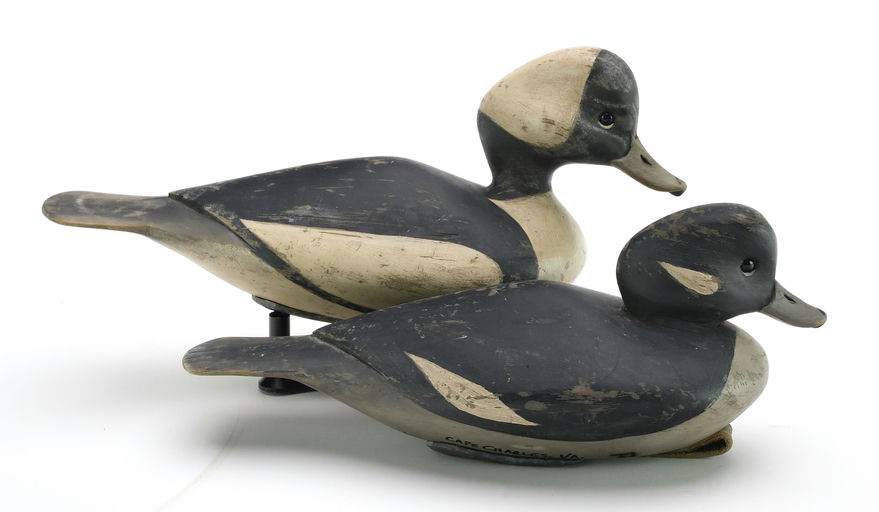 Pete Peterson – Pair of Bufflehead – 2024