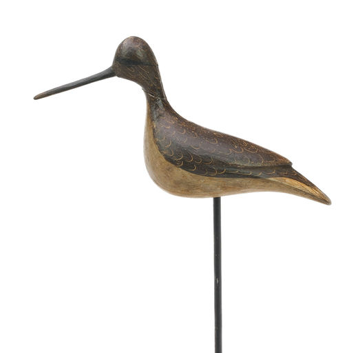 Mark McNair – Lesser yellowlegs – 2024