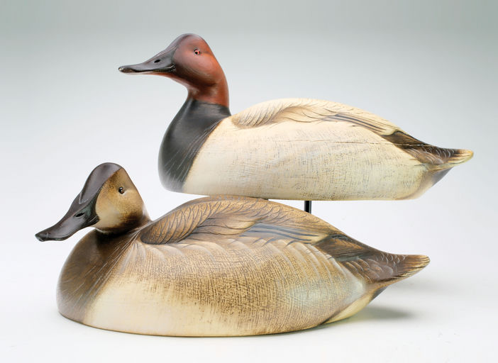 Jim Schmiedlin – Pair of Canvasback – 2024