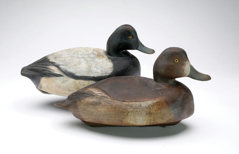 Ben Schmidt – Pair of Bluebills – 2024