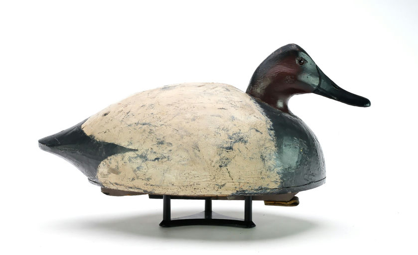 Tom Schroeder – Canvasback – 2025