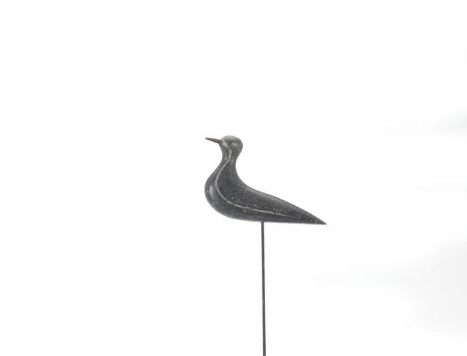 Mr. Webster – O'brien Webster Golden Plover – 2021