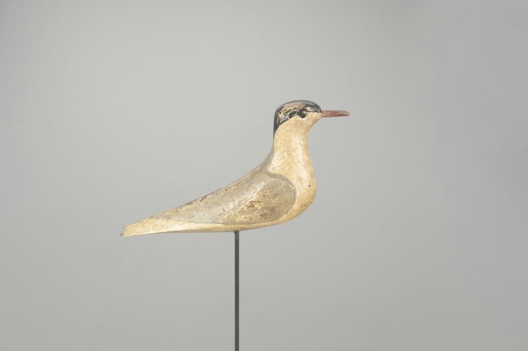 Henry Ellison – Rare Tern Decoy – 2022