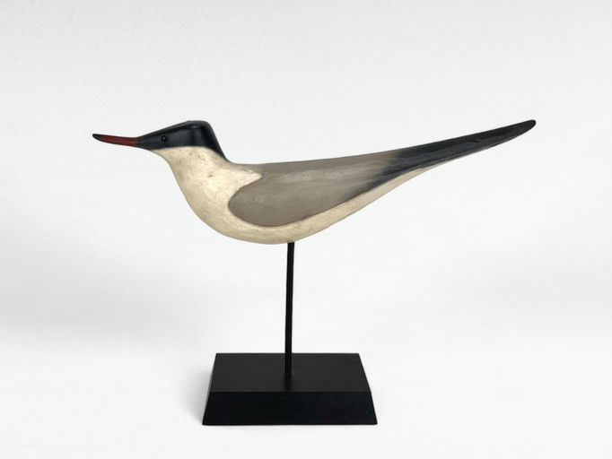 Pete Peterson – Tern – 2024
