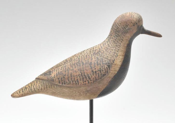 Mark McNair – Black bellied plover – 2023
