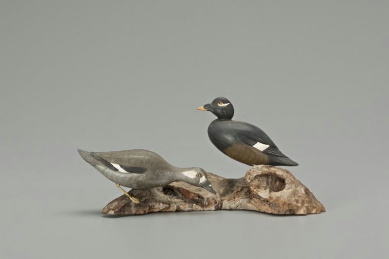 Russ Burr – Miniature White-Winged Scoter Pair – 2018