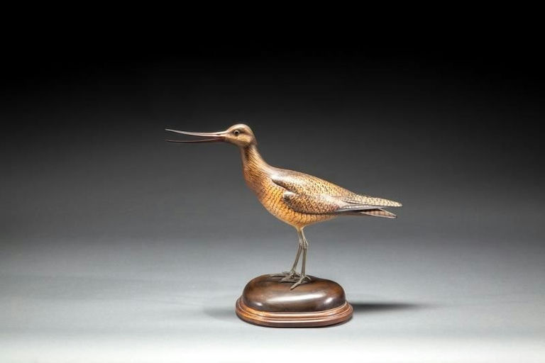 Bill Gibian – Calling Hudsonian Godwit – 2016