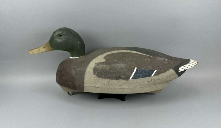 Marshall Chaloupek – Mallard Drake – 2026