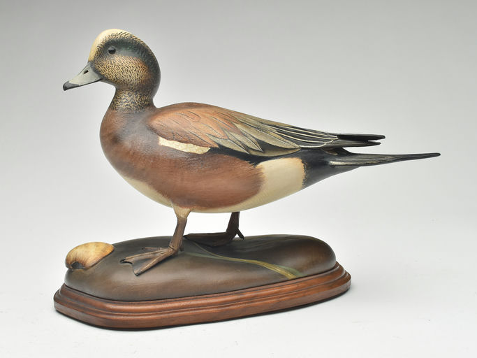 Bill Gibian – Wigeon – 2023