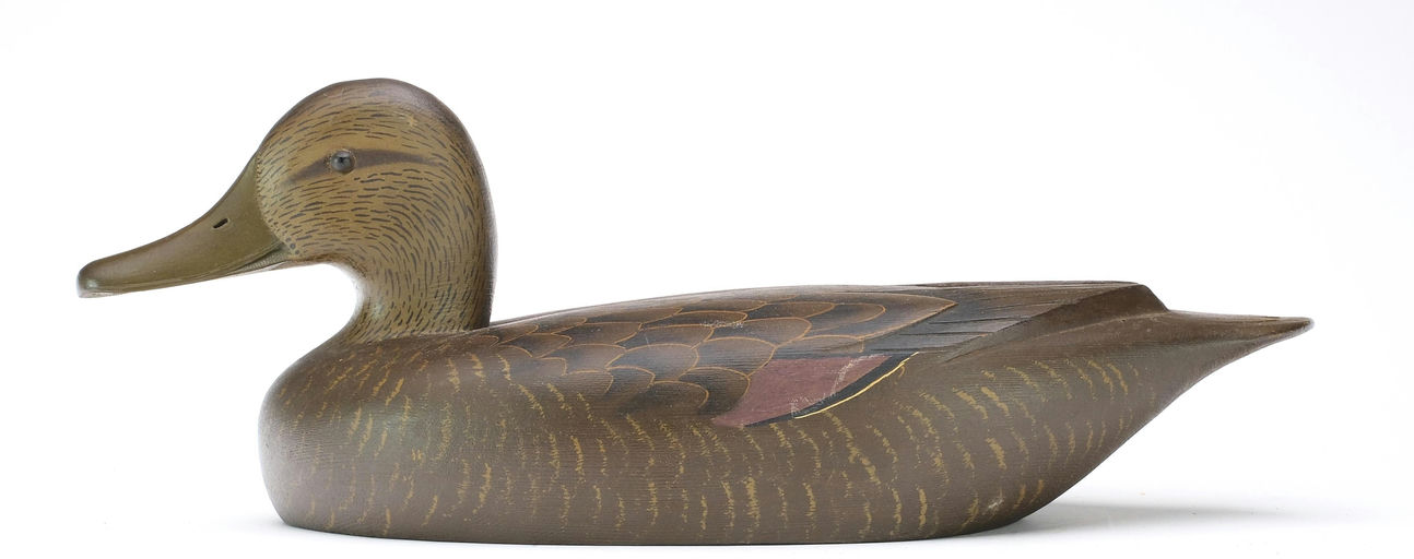 David W. Nichol – Black Duck – 2024