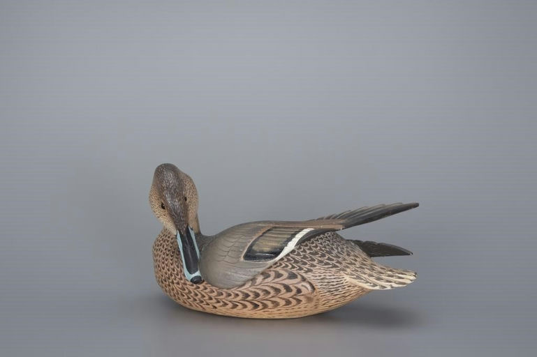 Ward Brothers – Preening Pintail Hen – 2017