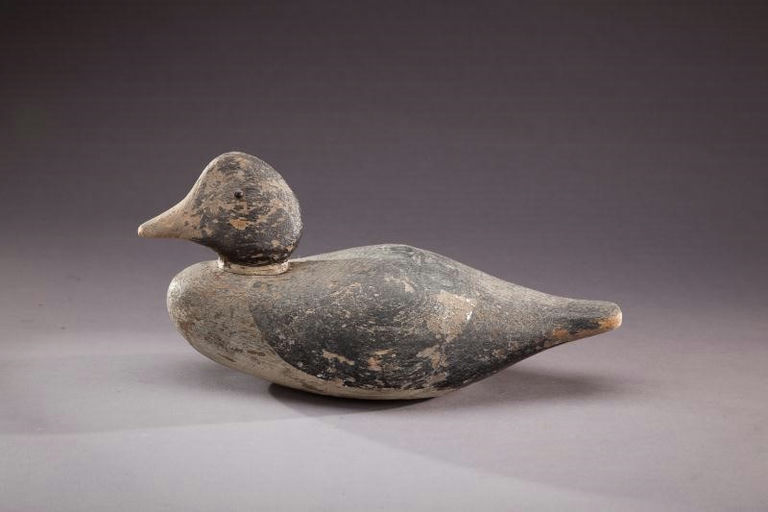 Arthur Shute – Goldeneye Hen – 2012