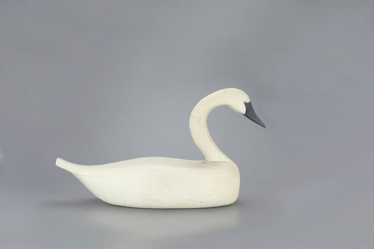Eugene Hendrickson – Swan – 2023